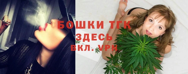 сатива Медногорск