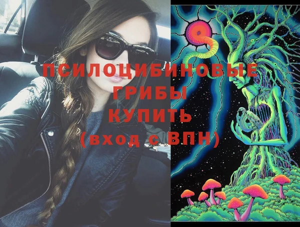 ешки Мегион