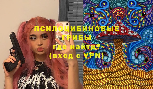 ешки Мегион