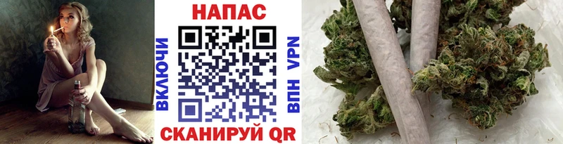 мориарти Telegram  Каменск-Шахтинский  Бошки марихуана индика 